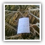 LEAF TOBACCO SHREDDED TOBACCO raw tobacco leaf dark air cured tobacco rustica tobacco FLUE CURED TOBACCO